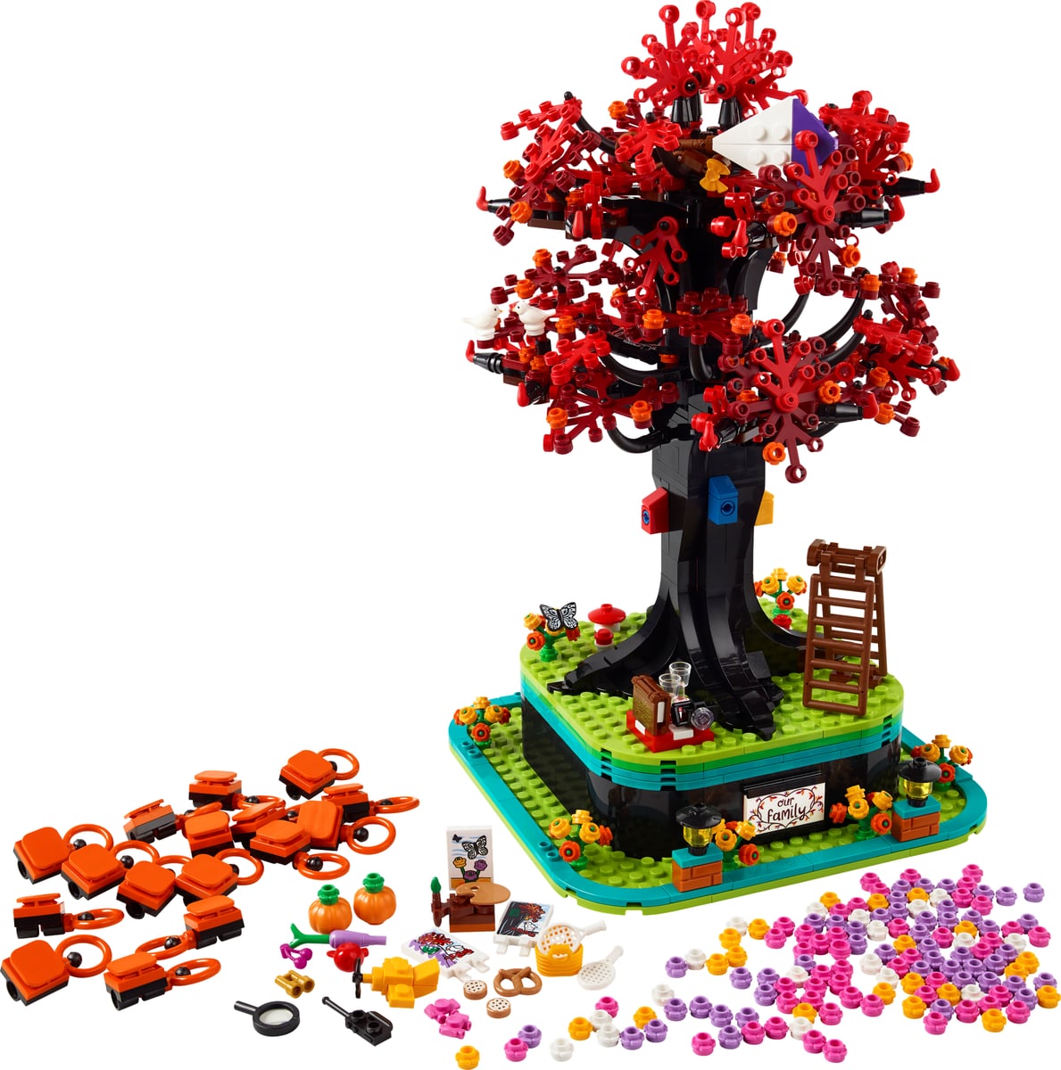Ideas : arbre généalogique