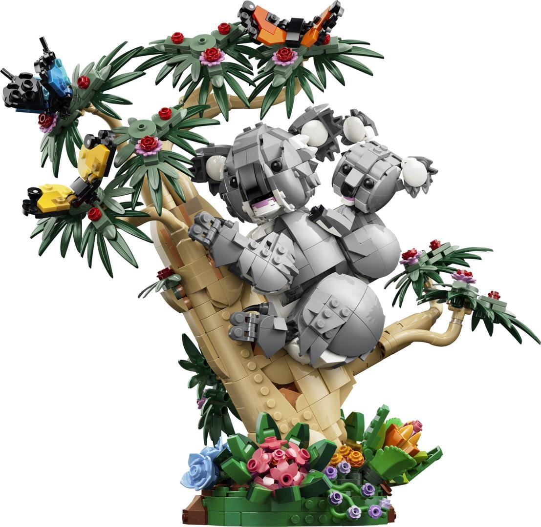 Creator : Animaux sauvages, la famille de koalas