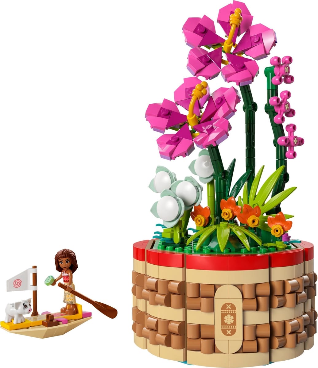 Disney : le pot de fleurs de Vaiana