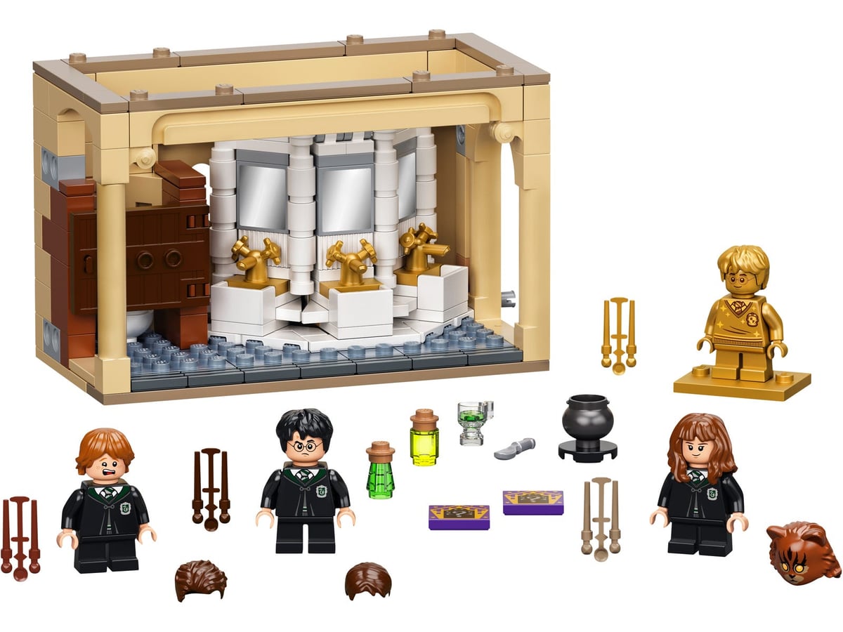 Harry Potter: Hogwarts Polyjuice Potion Mistake
