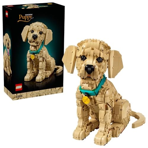 Golden Retriever Puppy