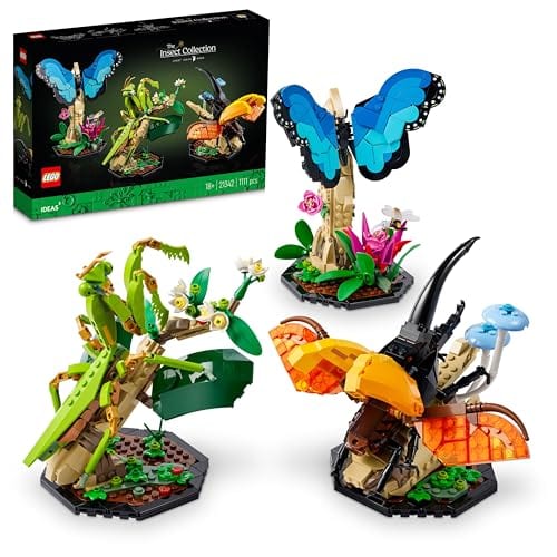 La collection d’insectes