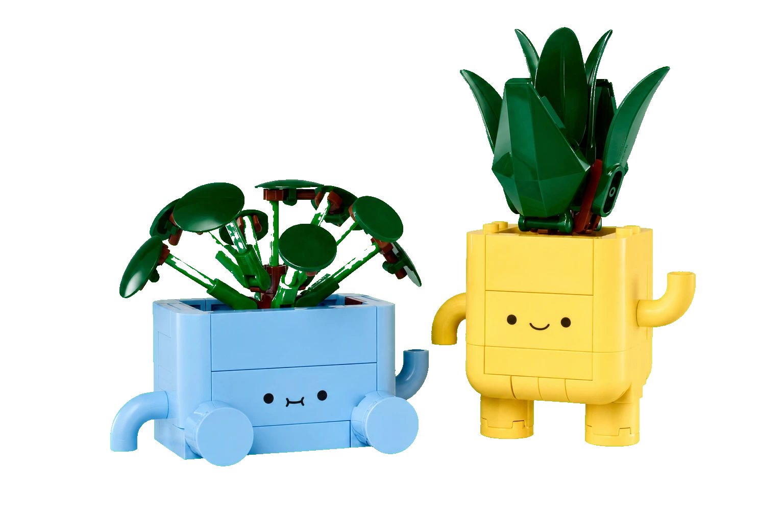 Botanicals: Happy Plants
