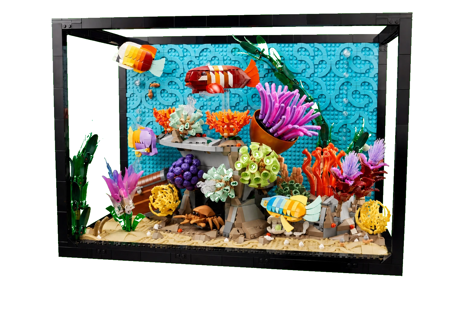 Icons : l’aquarium tropical
