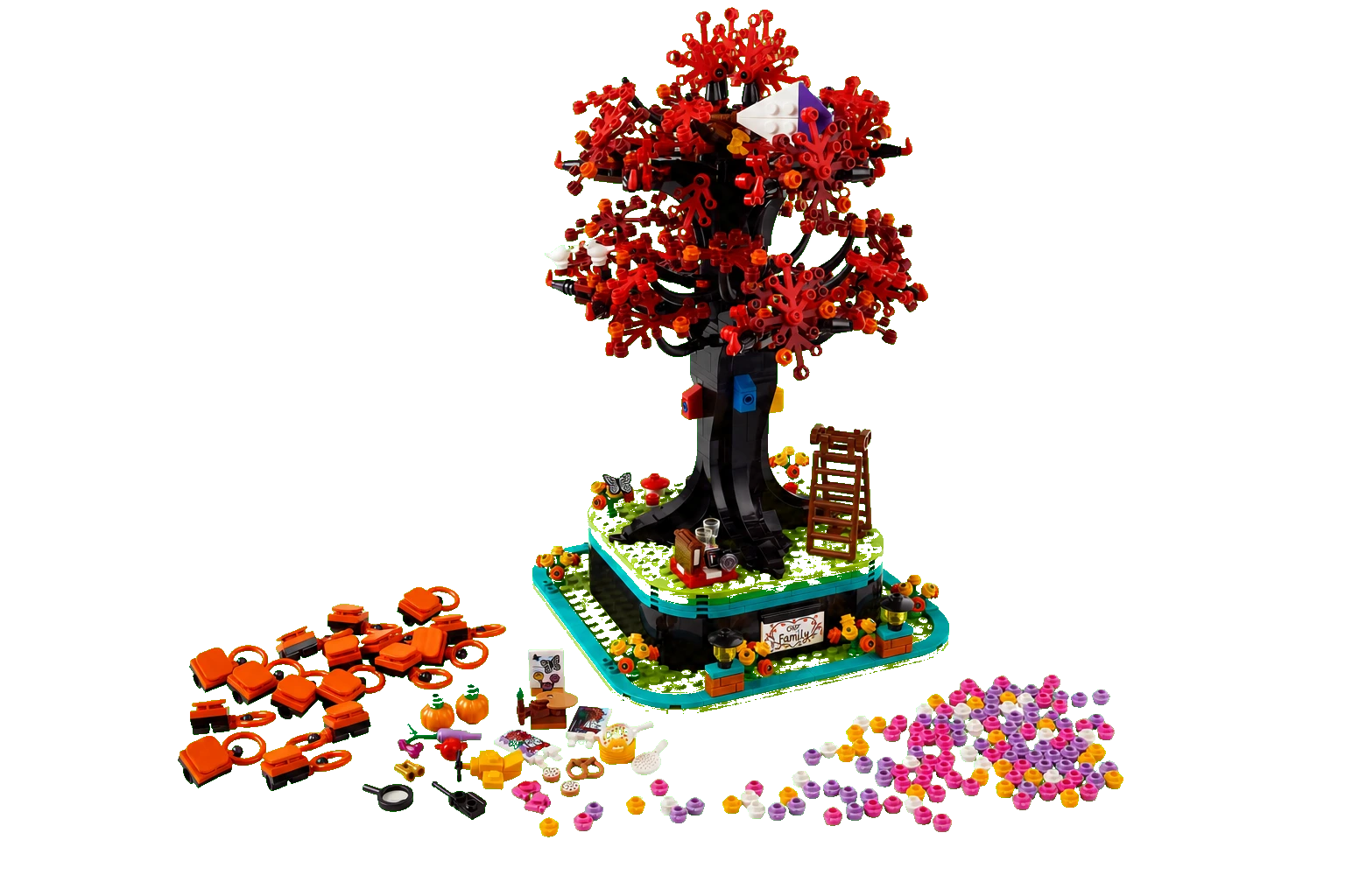 Ideas : arbre généalogique
