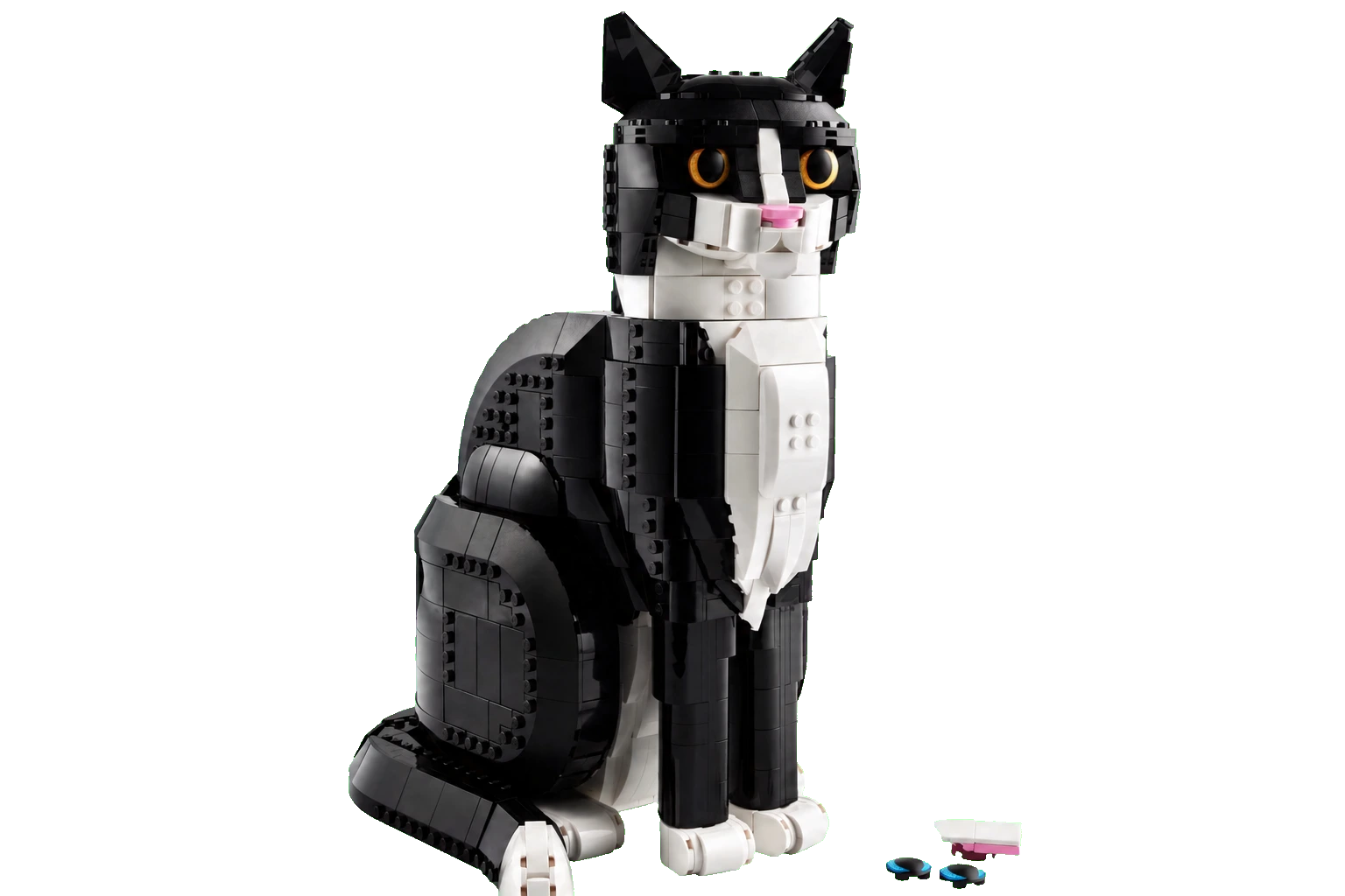 Ideas : le chat tuxedo